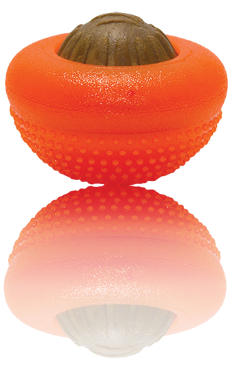 EVERLASTING TREAT BENTO BALL®